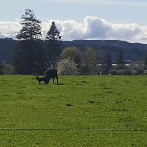 Meet your Posher, Gina